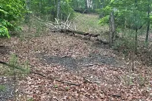 356 Orieole Ct, Ranger, GA 30734 - Photo 1