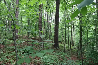 49 Lake Top Drive SE, Cartersville, GA 30121 - Photo 11