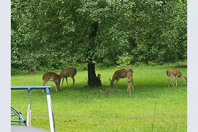 3096 Campground Road, Winston, GA 30187 - Photo 19