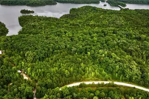 0 Millstone Creek Rd, Elberton, GA 30635 - Photo 7