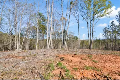 Lt 103 Blalock Mountain Road, Talking Rock, GA 30175 - Photo 11