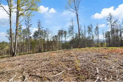 Lt 103 Blalock Mountain Road, Talking Rock, GA 30175 - Photo 15