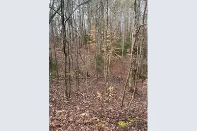 4441 Fincher Road, Canton, GA 30114 - Photo 3