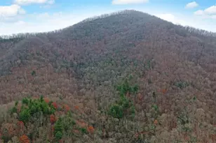 333 Favor Ln, Rabun Gap, GA 30568 - Photo 11