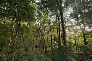 Lot 02 Upper Sassafras Pkwy, Jasper, GA 30143 - Photo 5