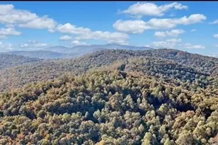 Lot 02 Upper Sassafras Pkwy, Jasper, GA 30143 - Photo 3