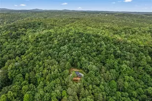 1725 Cherokee Gold Trail, Ball Ground, GA 30107 - Photo 51