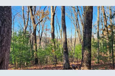 0 Meadowlands Drive, Talking Rock, GA 30175 - Photo 3