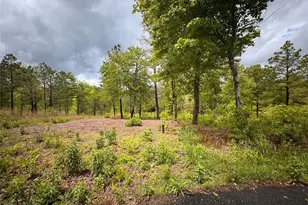 35 Arbor Creek, Mineral Bluff, GA 30559 - Photo 1