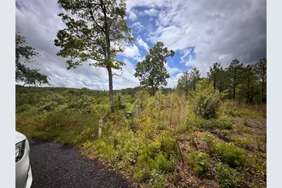 35 Arbor Creek, Mineral Bluff, GA 30559 - Photo 3