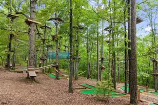 15 Bailey St, Whitesburg, GA 30185 - Photo 49