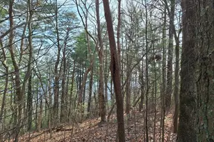 Lot2 Summit Pass, Chatsworth, GA 30705 - Photo 15