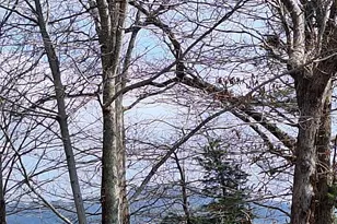 Lot2 Summit Pass, Chatsworth, GA 30705 - Photo 21