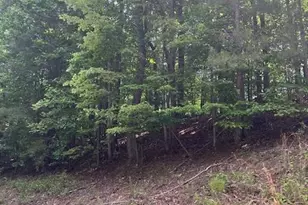 133 Adair Dr NE, Ranger, GA 30734 - Photo 5