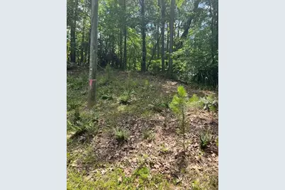 133 Adair Drive NE, Ranger, GA 30734 - Photo 7