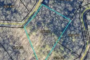 133 Adair Dr NE, Ranger, GA 30734 - Photo 13