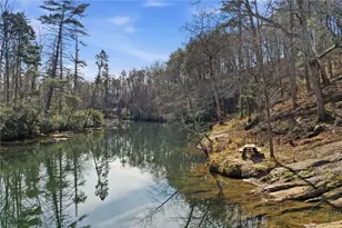 1008 River Estates Rd, Cleveland, GA 30528 - Photo 3