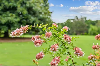 21 Willow Woods Road, Social Circle, GA 30025 - Photo 31