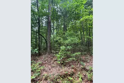 0 Nimblewill Creek Road, Dahlonega, GA 30533 - Photo 7