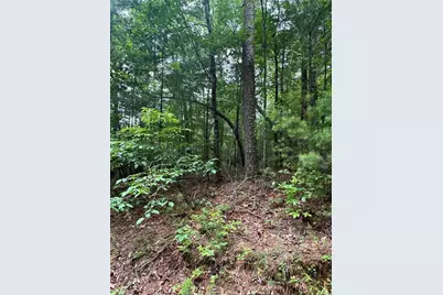 0 Nimblewill Creek Road, Dahlonega, GA 30533 - Photo 3