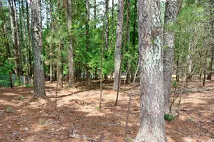 3129 Etchison Rd, Loganville, GA 30052 - Photo 53