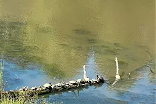 638 Glen Valley Way, Dacula, GA 30019 - Photo 53