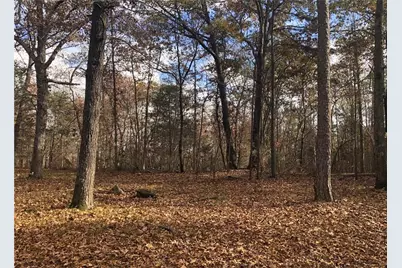 209 Alice Moss Lane, Alto, GA 30510 - Photo 9