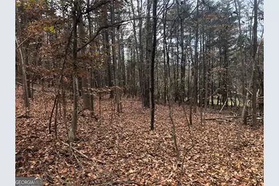 209 Alice Moss Lane, Alto, GA 30510 - Photo 7