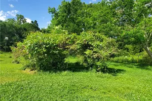 7564 Ball Ground Hwy, Ball Ground, GA 30107 - Photo 45