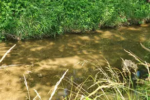 7564 Ball Ground Hwy, Ball Ground, GA 30107 - Photo 37