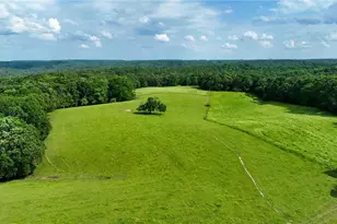 1447 Travis Smith Rd, Clarkesville, GA 30523 - Photo 71