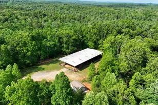 1447 Travis Smith Rd, Clarkesville, GA 30523 - Photo 9