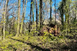 2455 Dodson Dr, Atlanta, GA 30344 - Photo 9