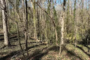 2455 Dodson Dr, Atlanta, GA 30344 - Photo 3