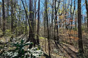 2455 Dodson Dr, Atlanta, GA 30344 - Photo 7