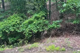 118 Morningstar Dr, Waleska, GA 30183 - Photo 1