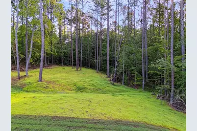 64 Liberty Station Drive, Bremen, GA 30110 - Photo 45