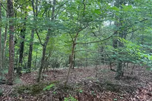 793 Woodbine Ln, Ranger, GA 30734 - Photo 1