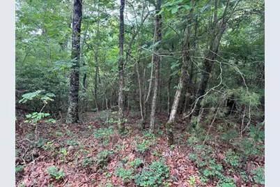 793 Woodbine Lane, Ranger, GA 30734 - Photo 11