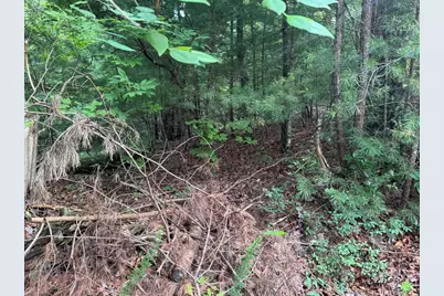 793 Woodbine Lane, Ranger, GA 30734 - Photo 9