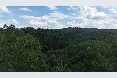 793 Woodbine Lane, Ranger, GA 30734 - Photo 3