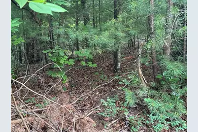 793 Woodbine Lane, Ranger, GA 30734 - Photo 7