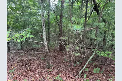 793 Woodbine Lane, Ranger, GA 30734 - Photo 13