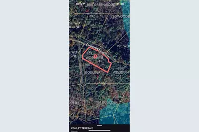 793 Woodbine Lane, Ranger, GA 30734 - Photo 5