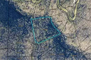 84 Grizzley Ct, Ranger, GA 30734 - Photo 1