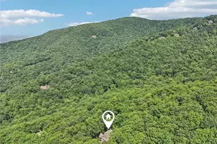 842 Columbine Dr, Big Canoe, GA 30143 - Photo 75