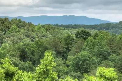 897 Faraday Drive, Ellijay, GA 30540 - Photo 3