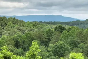 897 Faraday Dr, Ellijay, GA 30540 - Photo 3