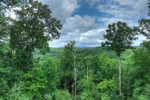 897 Faraday Dr, Ellijay, GA 30540 - Photo 59