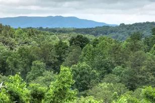 897 Faraday Dr, Ellijay, GA 30540 - Photo 29